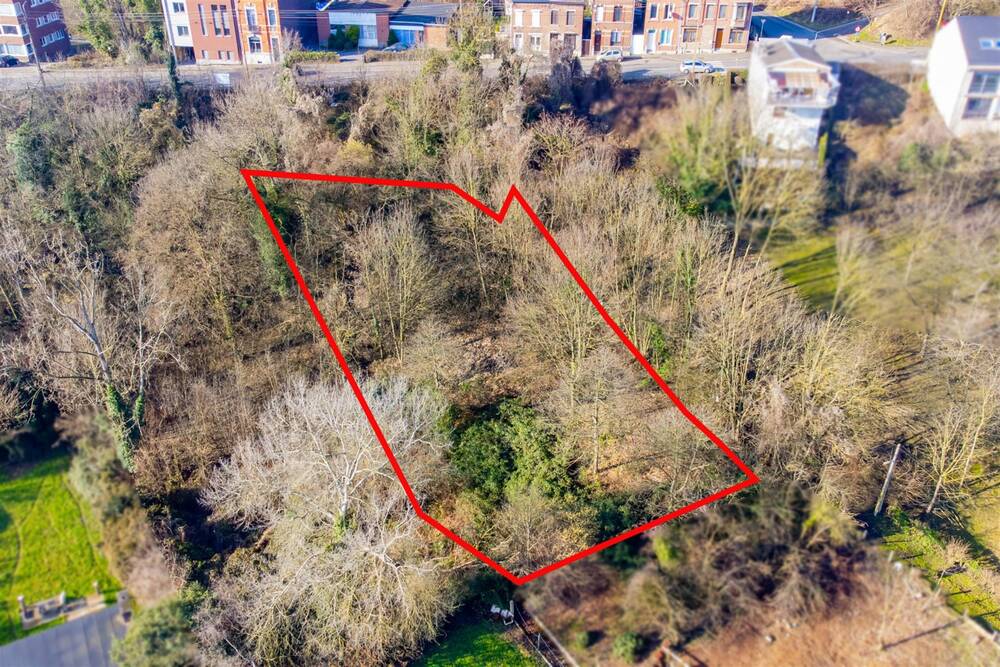 Terrain à vendre à Vivegnis 4683 40000.00€ chambres m² - annonce 3265