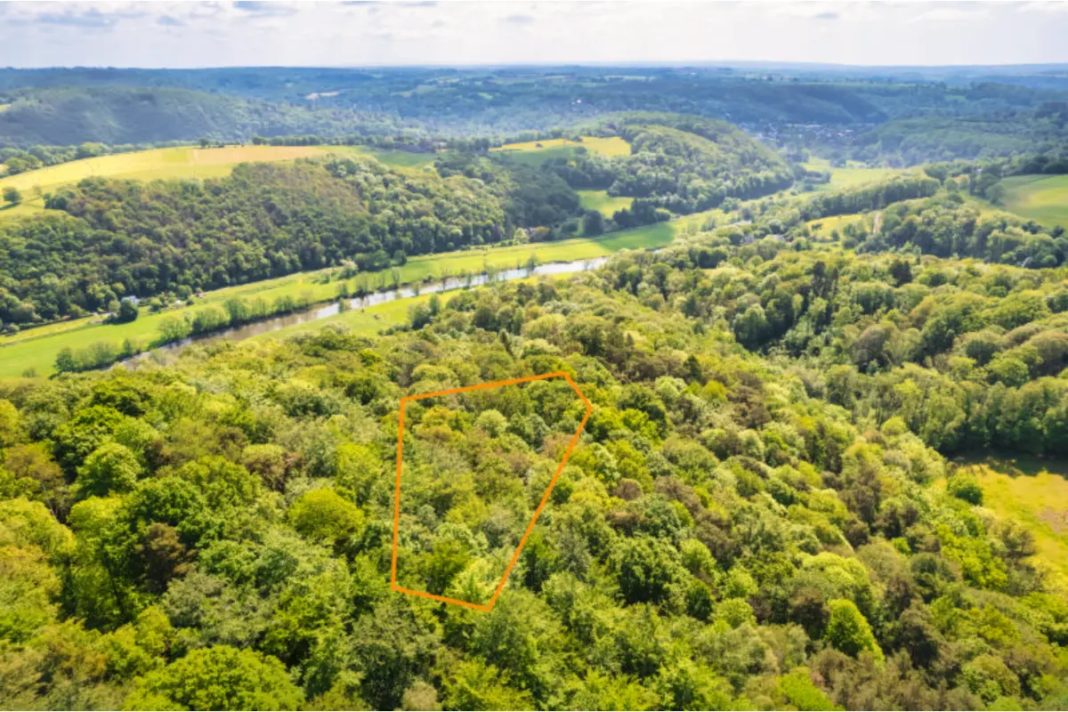 Maison à vendre à Plainevaux 4122 35000.00€  chambres m² - annonce 12506