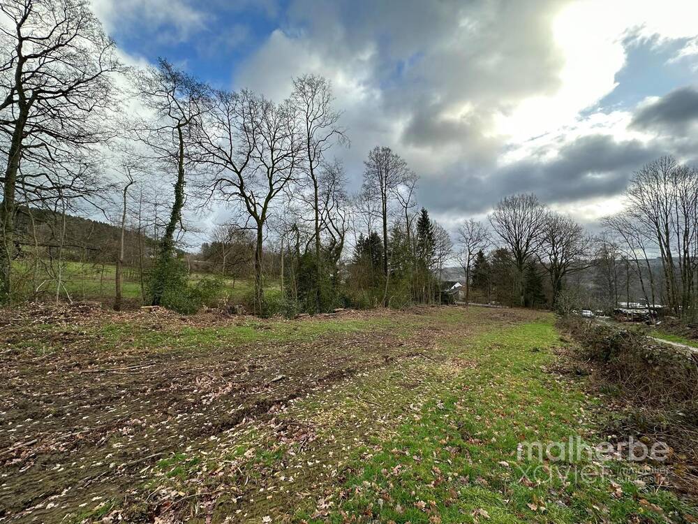 Terrain à vendre à Stavelot 4970 99000.00€ chambres m² - annonce 13922