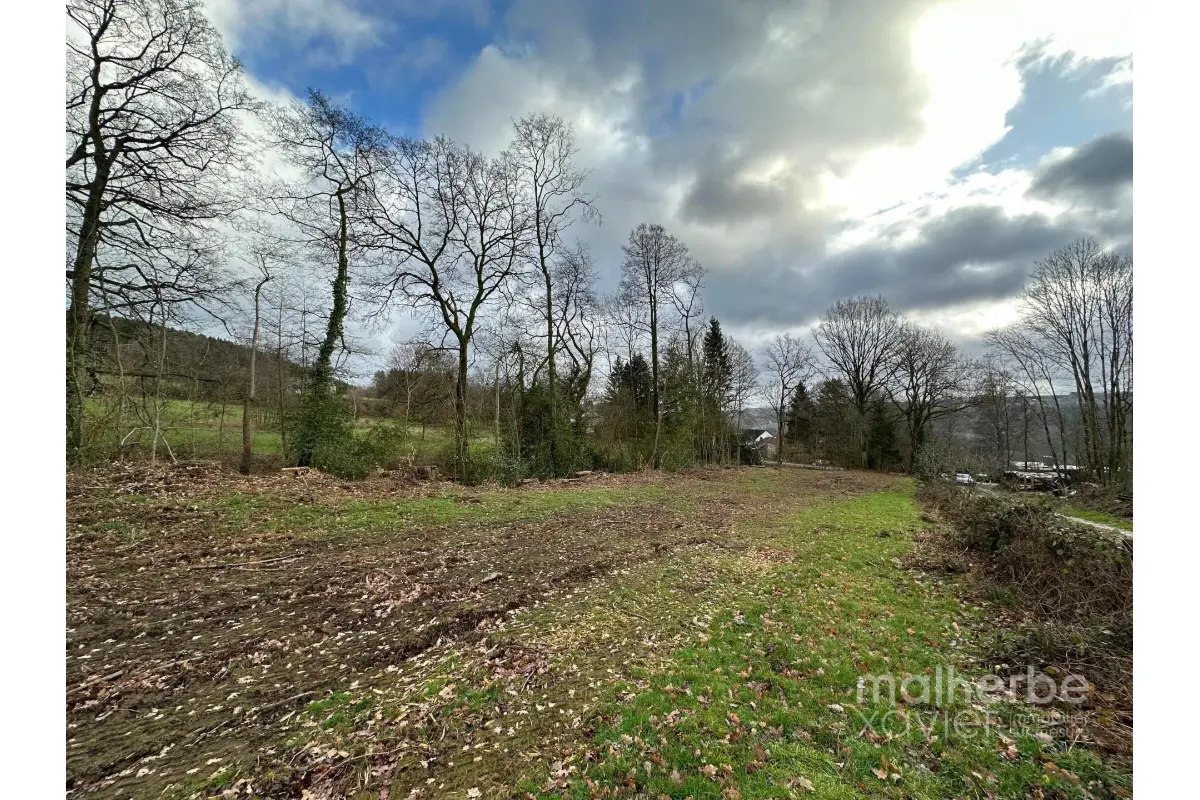 Terrain à vendre à Stavelot 4970 99000.00€  chambres m² - annonce 13922