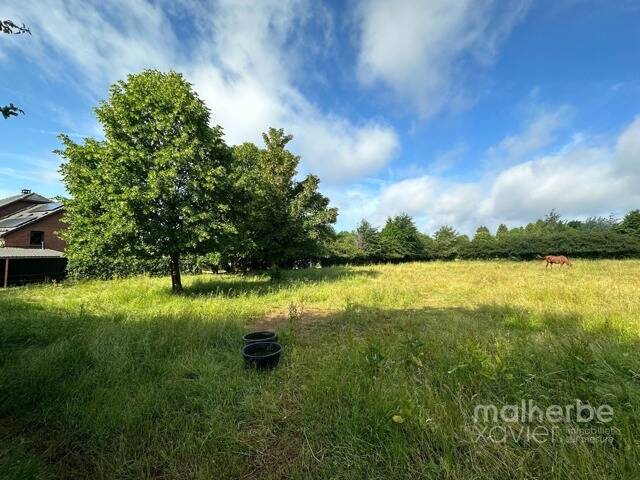 Terrain à vendre à Sourbrodt 4950 90000.00€ 0 chambres m² - annonce 13253