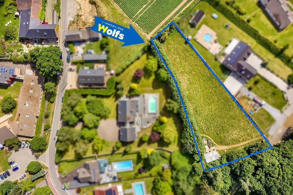 Terrain à vendre à Milmort 4041 200000.00€ chambres m² - annonce 14239
