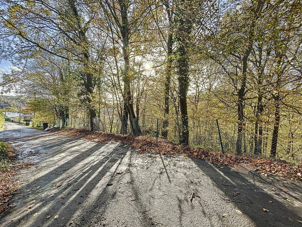 Terrain à vendre à Sprimont 4140 99000.00€ chambres m² - annonce 20673