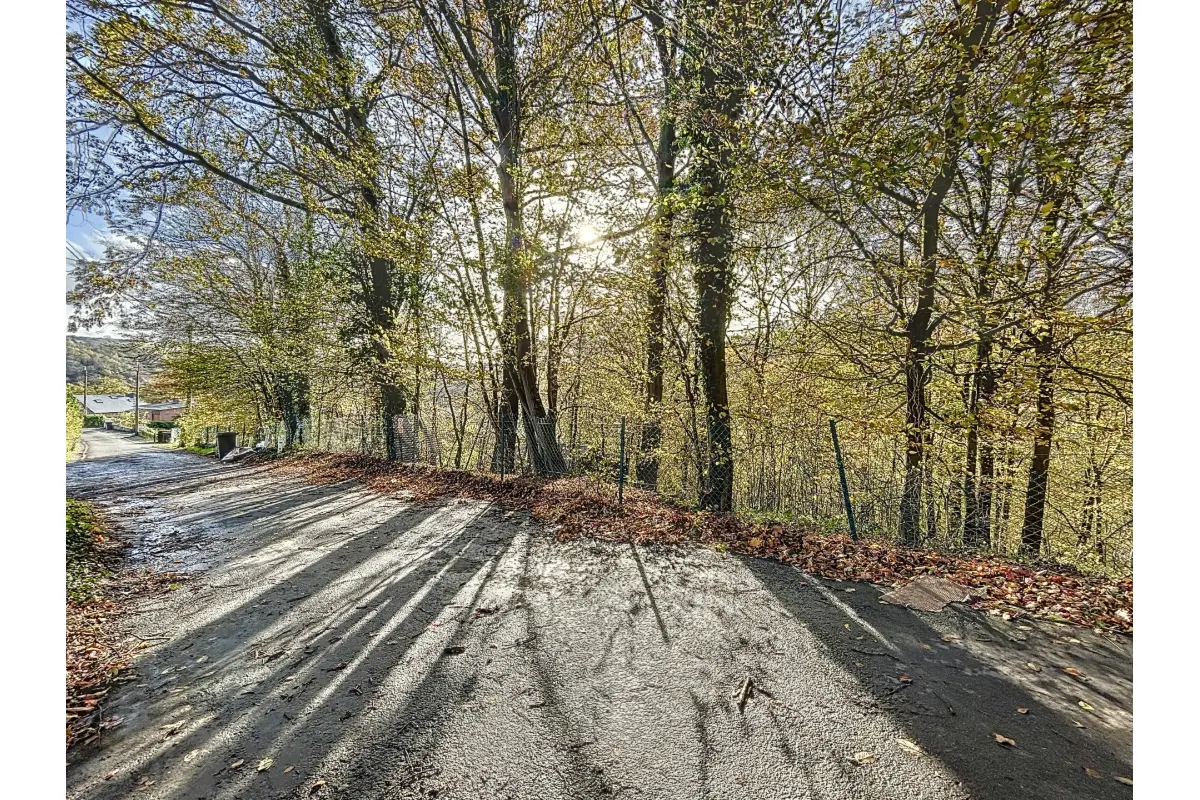 Terrain à vendre à Sprimont 4140 99000.00€  chambres m² - annonce 20673