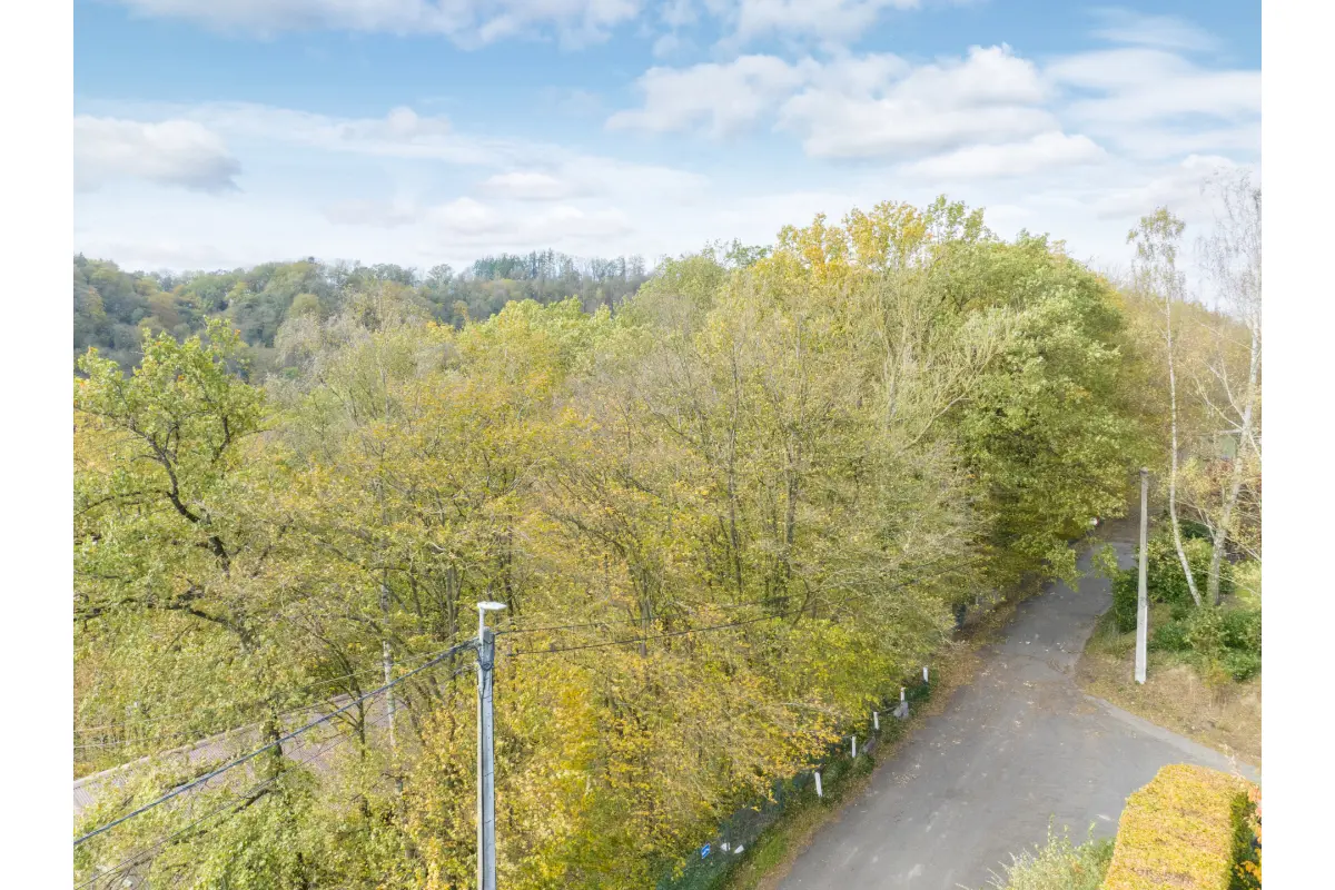 Terrain à vendre à Sprimont 4140 99000.00€  chambres m² - annonce 20672