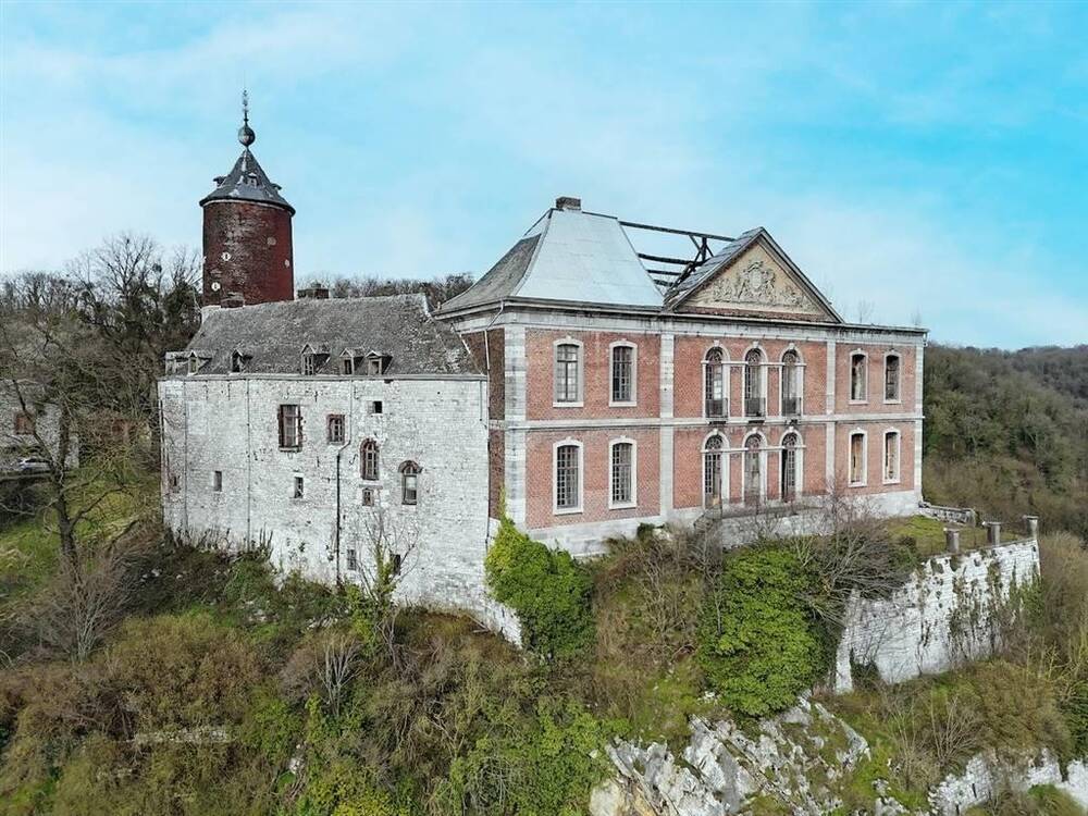 Château à vendre à Chokier 4400 750000.00€ 12 chambres 1800.00m² - annonce 1323462