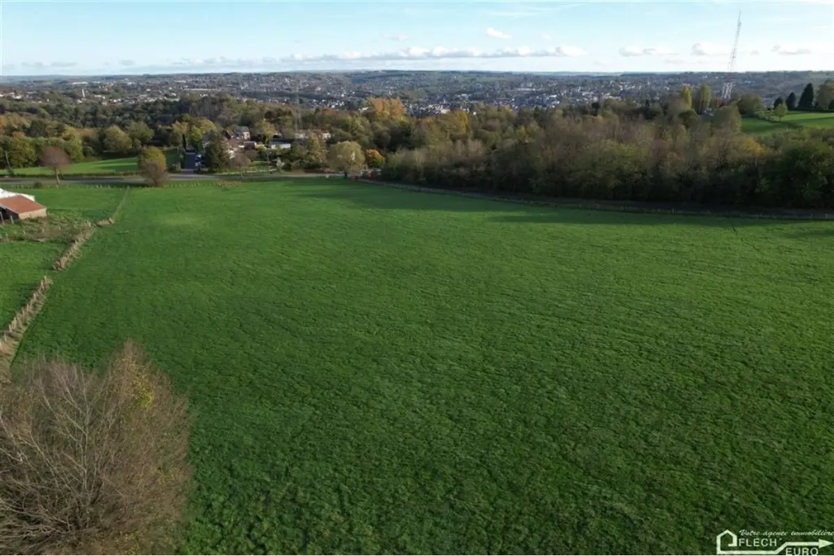 Terrain à vendre à Petit-Rechain 4800 2466360.00€  chambres m² - annonce 54497