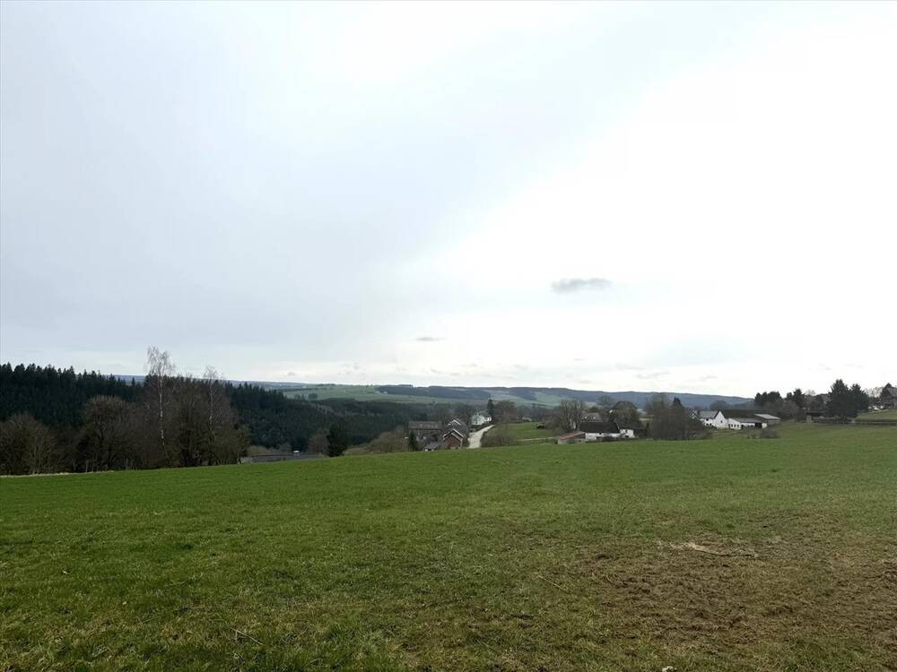 Terrain à vendre à Bullange 4760 249000.00€ 0 chambres m² - annonce 61155