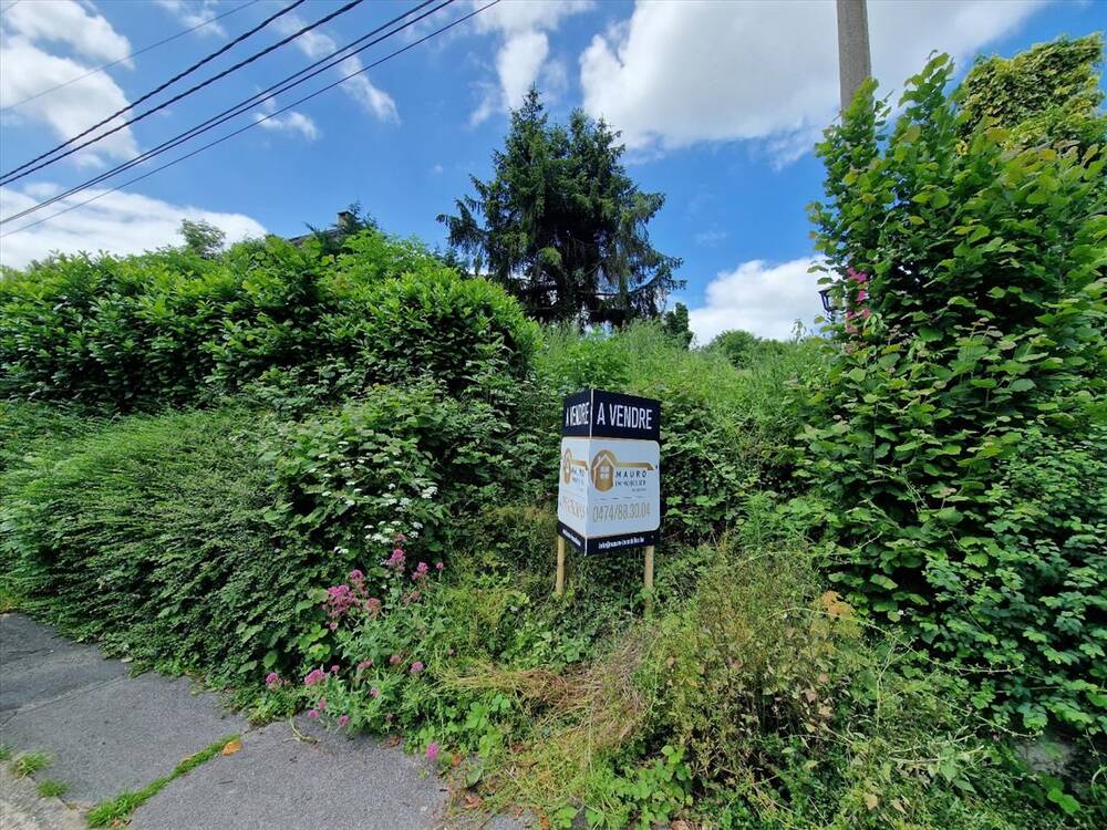 Terrain à vendre à Dalhem 4607 89500.00€ chambres m² - annonce 107088