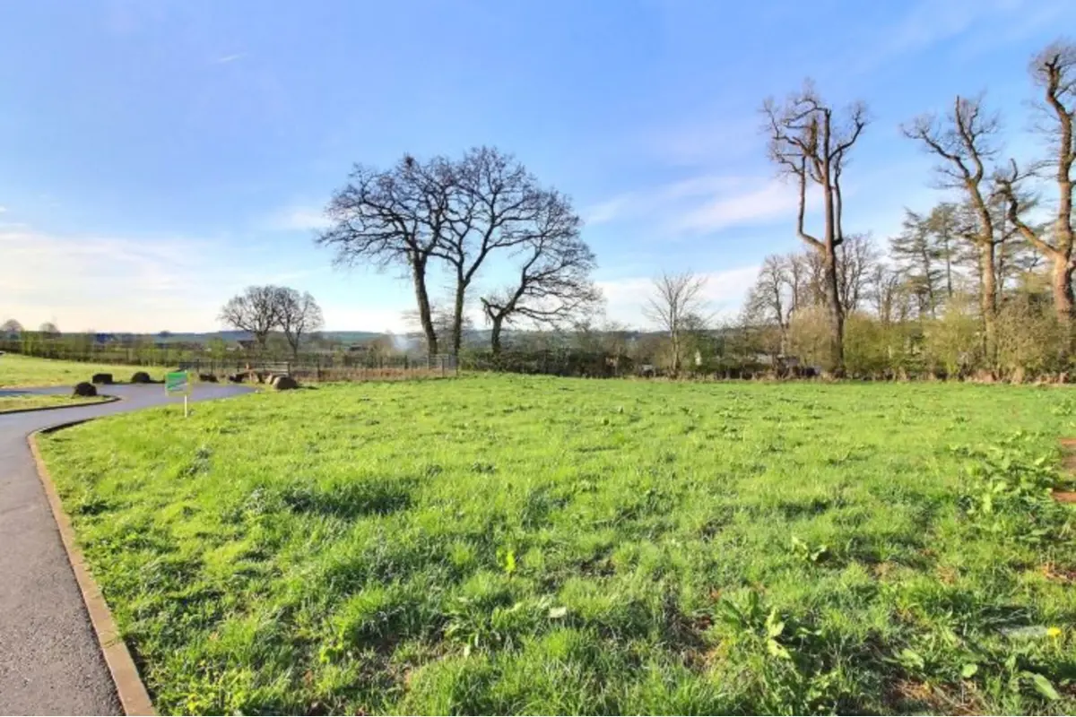 Terrain à vendre à Amblève 4770 85000.00€  chambres m² - annonce 115376