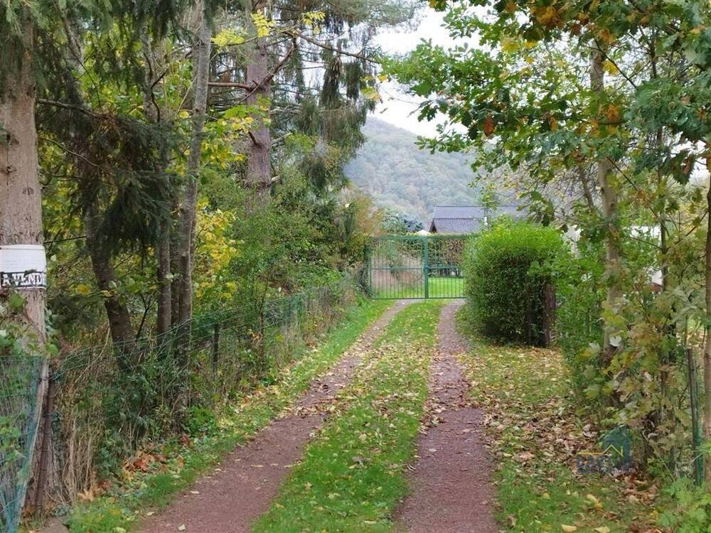 Terrain à vendre à Sougné-Remouchamps 4920 60000.00€ chambres m² - annonce 129767