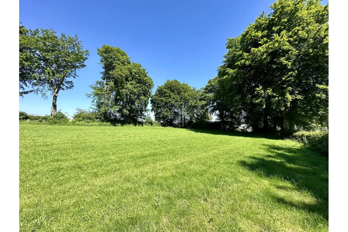 Terrain à vendre à Butgenbach 4750 94000.00€  chambres m² - annonce 372949