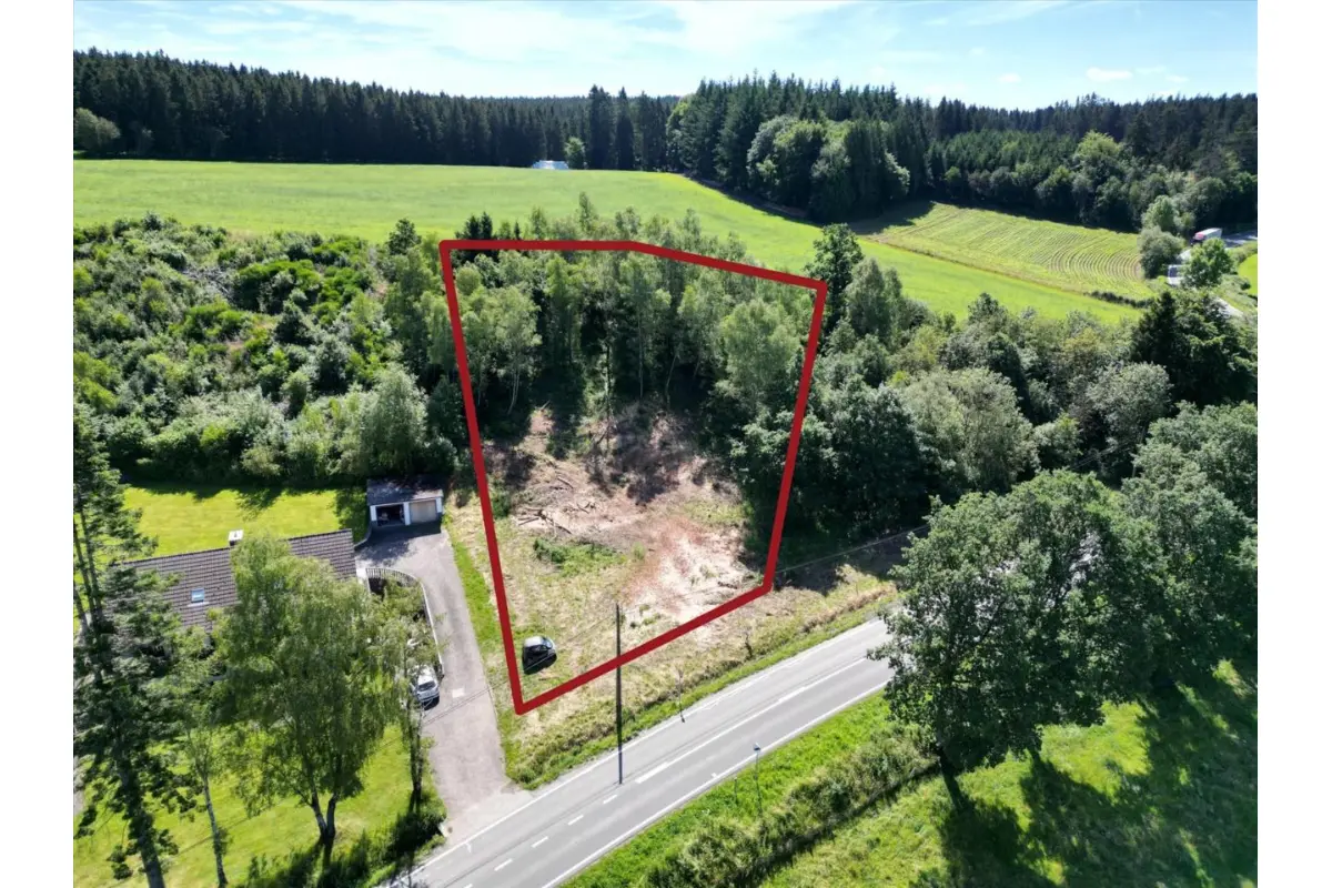 Terrain à vendre à Burg-Reuland 4790 97000.00€  chambres m² - annonce 183747