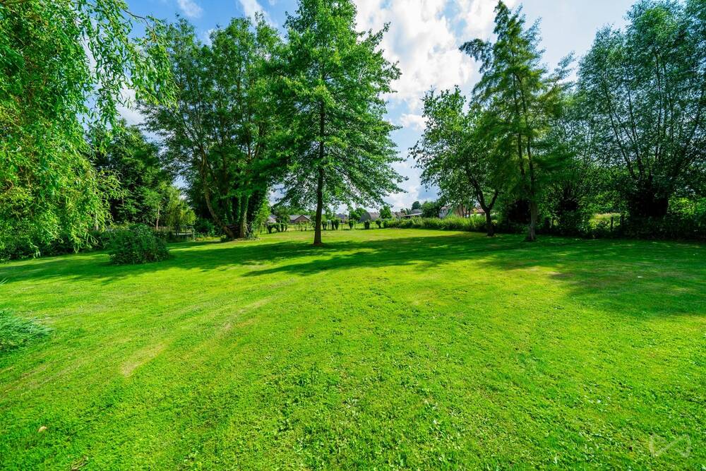 Terrain à vendre à Ciplet 4260 98000.00€ chambres m² - annonce 194813