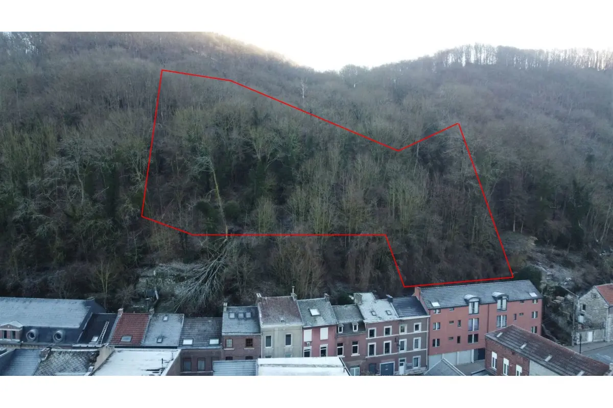 Terrain non bâtissable à vendre à Huy 4500 19500.00€  chambres m² - annonce 243841