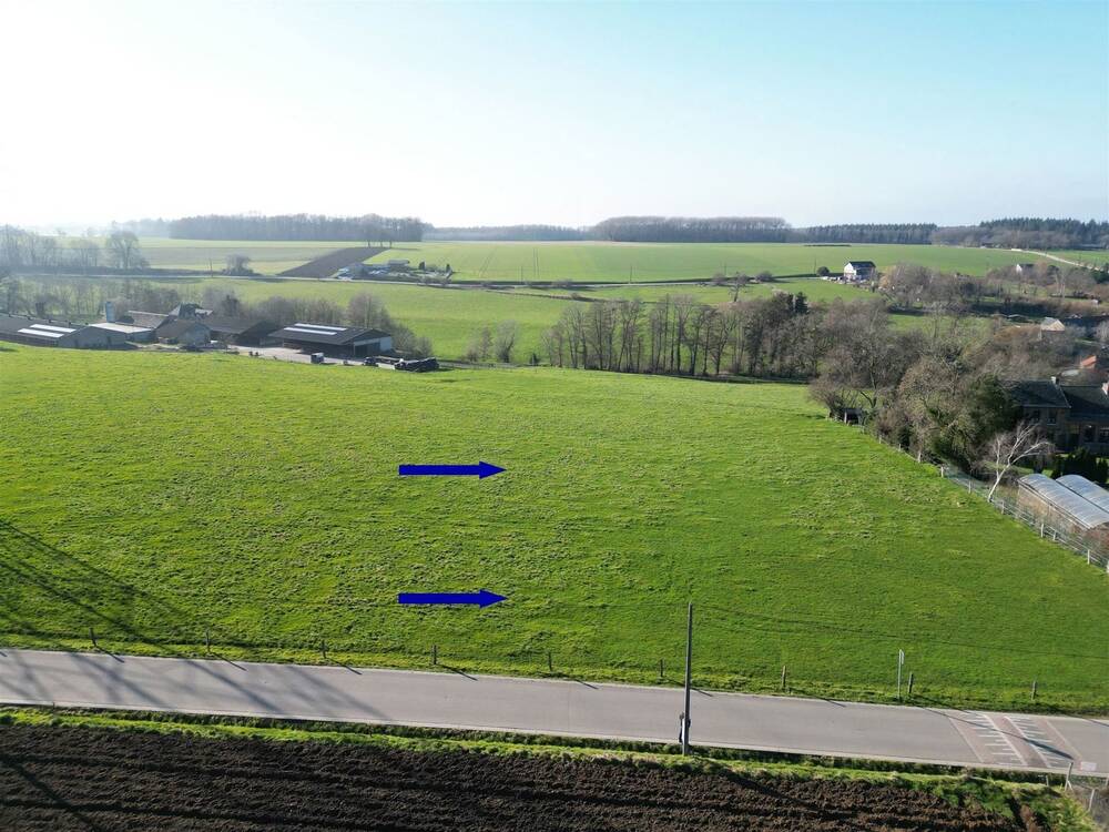 Terrain à vendre à Ben-Ahin 4500 99500.00€  chambres m² - annonce 244171