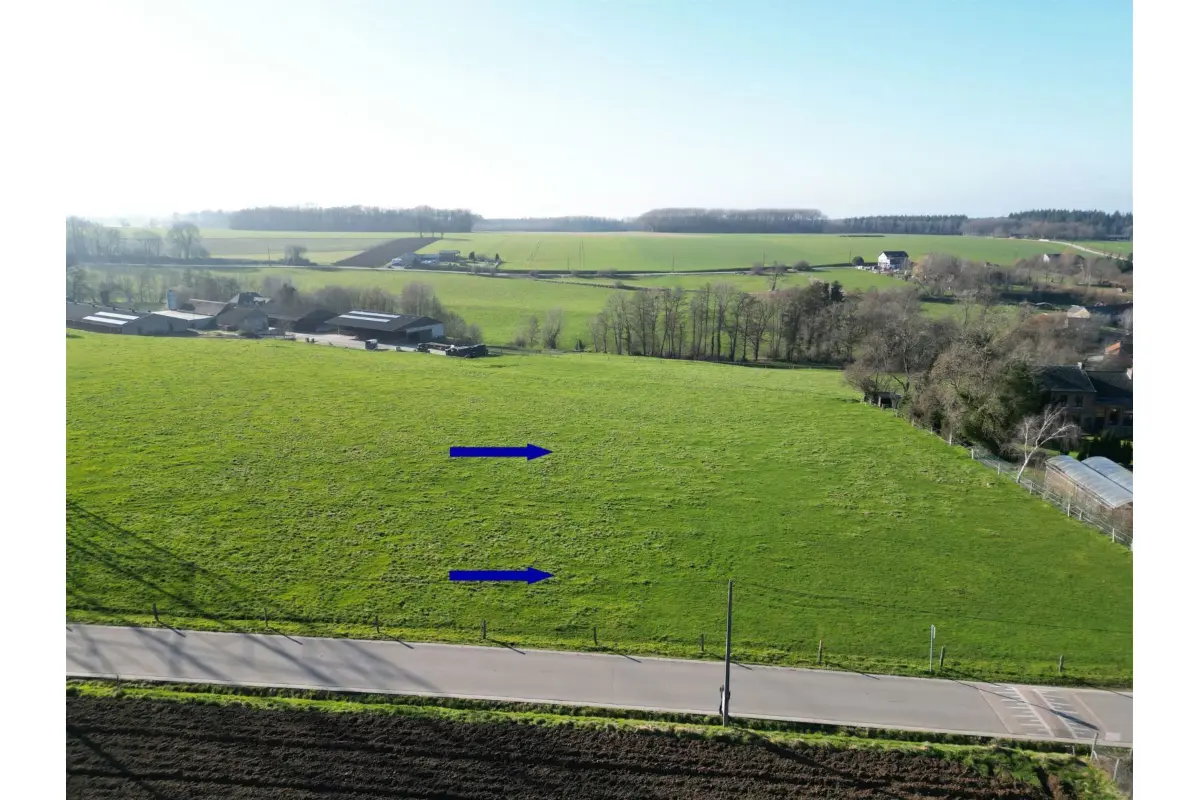 Terrain à vendre à Ben-Ahin 4500 99500.00€  chambres m² - annonce 244171