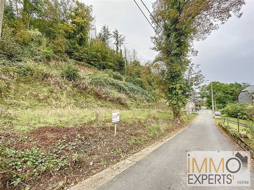Terrain à vendre à Ben-Ahin 4500 80000.00€ chambres m² - annonce 254786