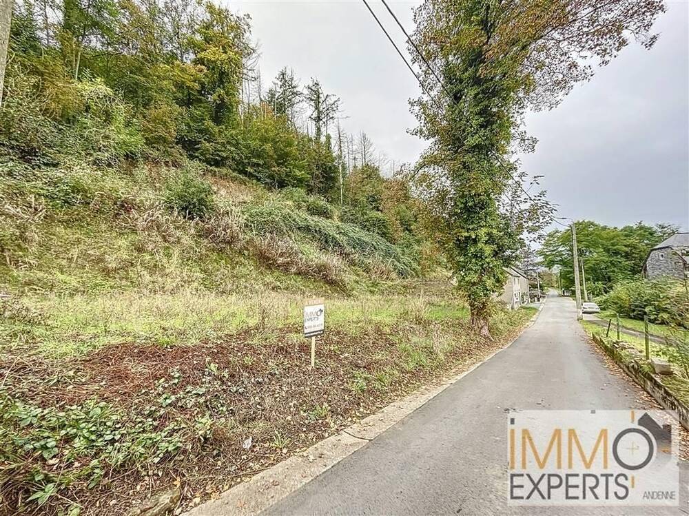 Terrain à vendre à Ben-Ahin 4500 80000.00€  chambres m² - annonce 254786