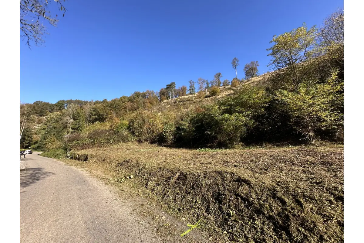 Terrain à vendre à Ferrières 4190 45000.00€  chambres m² - annonce 290768