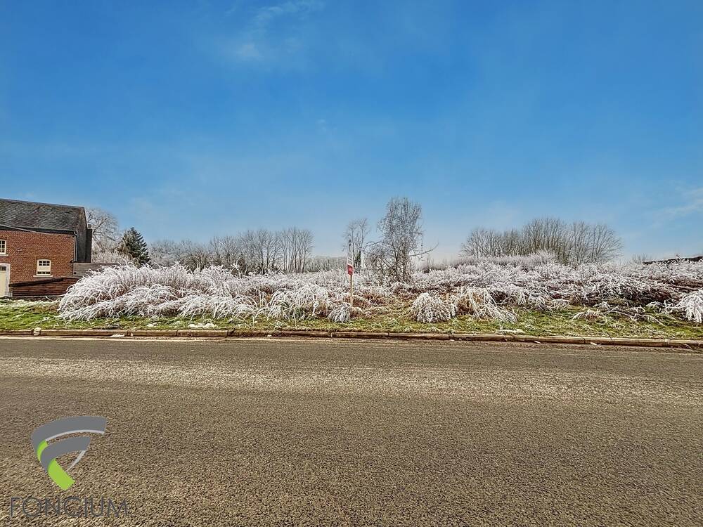 Terrain à vendre à Vieux-Waleffe 4530 99000.00€ chambres m² - annonce 365667