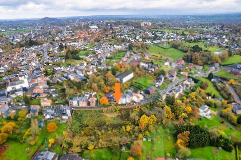 Terrain à vendre à Romsée 4624 450000.00€ chambres m² - annonce 379278