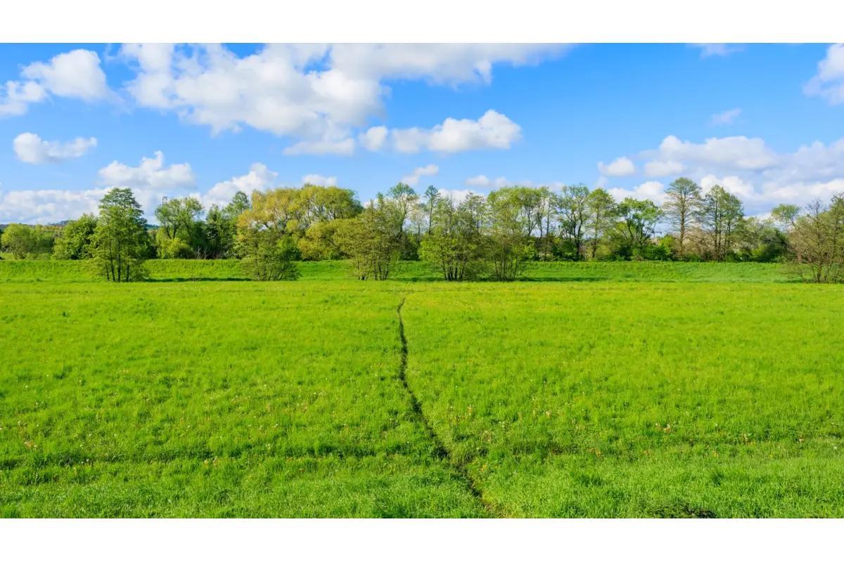 Terrain à vendre à Recht 4780 510000.00€  chambres m² - annonce 384765