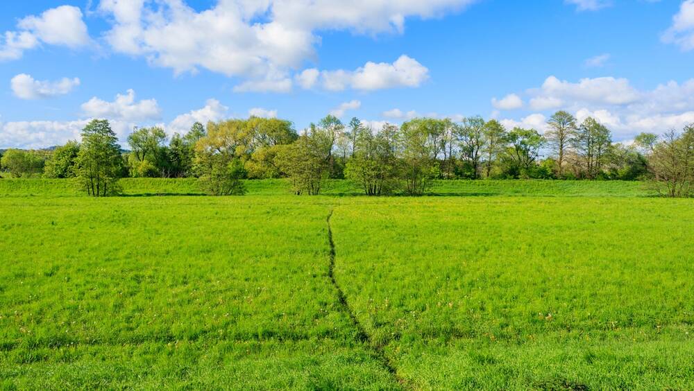 Terrain à vendre à Recht 4780 510000.00€  chambres m² - annonce 384765