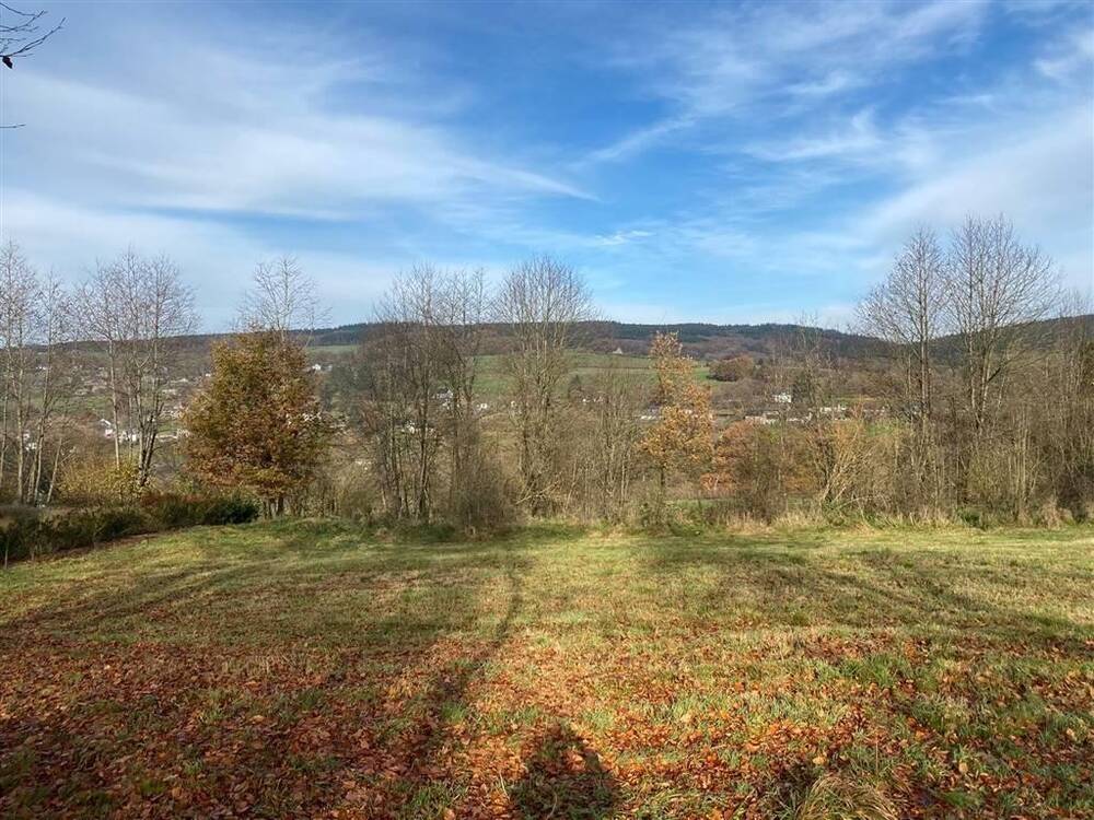 Terrain à vendre à Bellevaux-Ligneuville 4960 125000.00€ chambres m² - annonce 386118