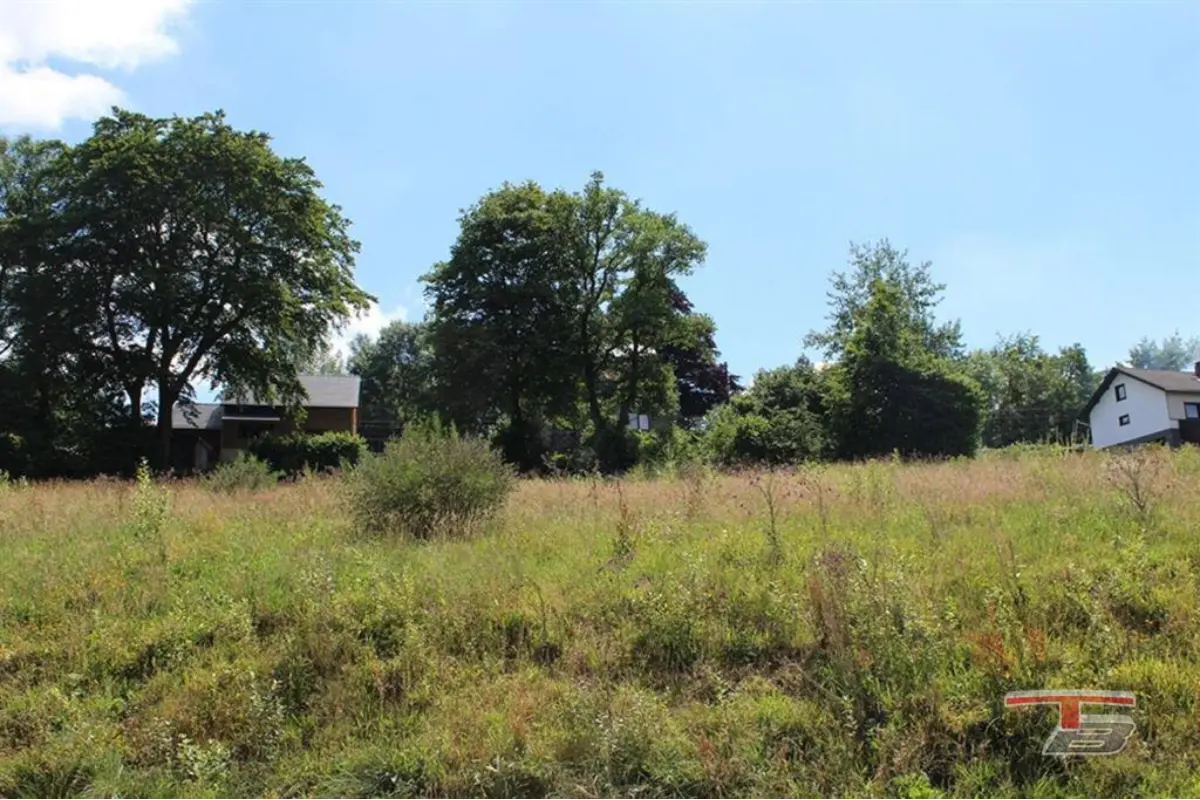 Terrain à bâtir à vendre à Francorchamps 4970 83000.00€  chambres m² - annonce 386712