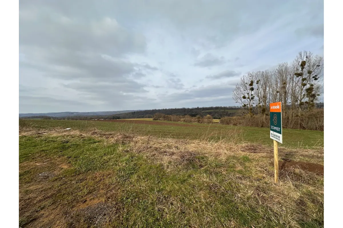 Terrain à vendre à Ferrières 4190 69000.00€  chambres m² - annonce 387254