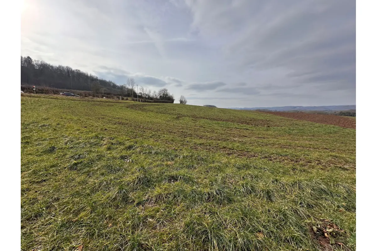 Terrain à vendre à Ferrières 4190 79000.00€  chambres m² - annonce 386982