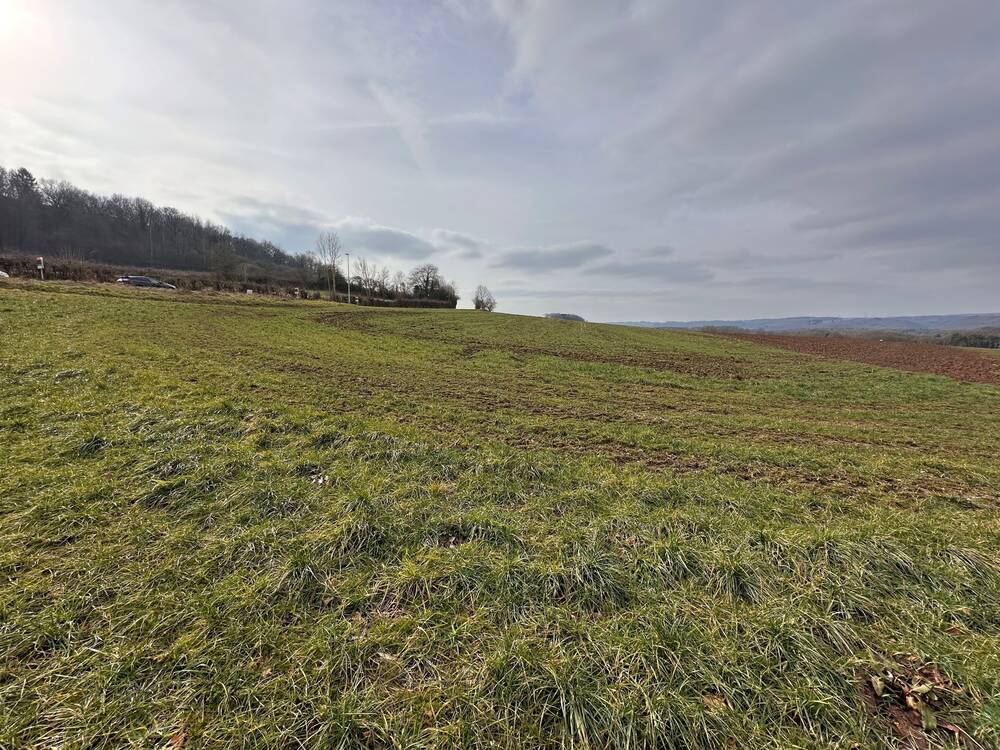 Terrain à vendre à Ferrières 4190 79000.00€  chambres m² - annonce 386982