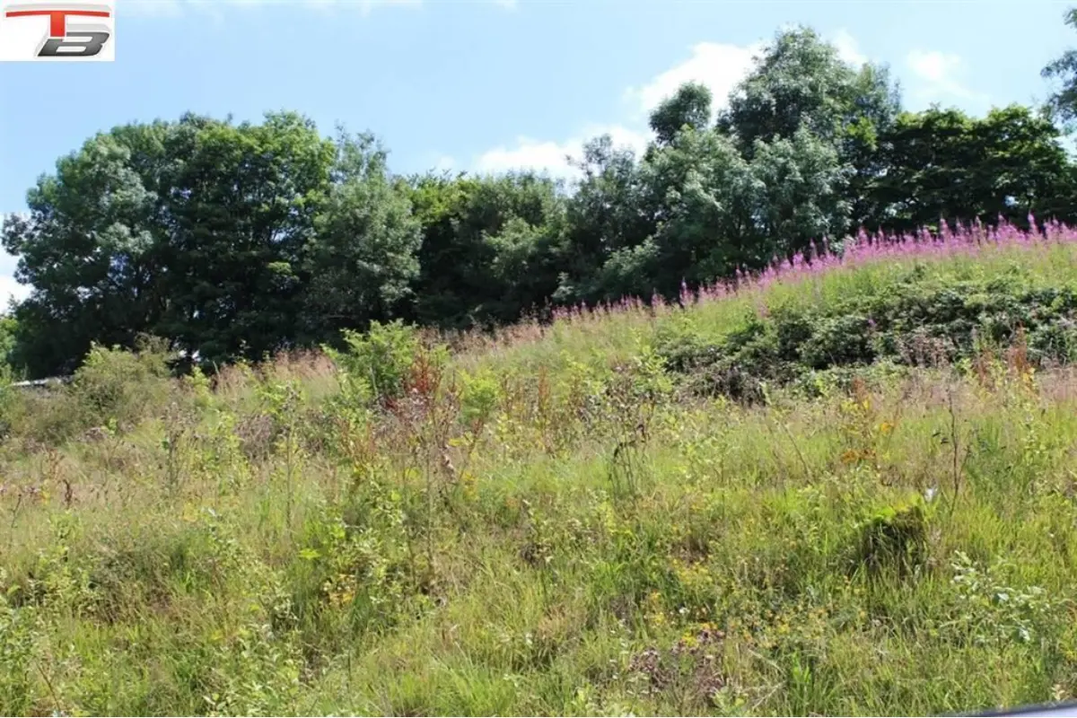 Terrain à vendre à Francorchamps 4970 85000.00€  chambres m² - annonce 386713