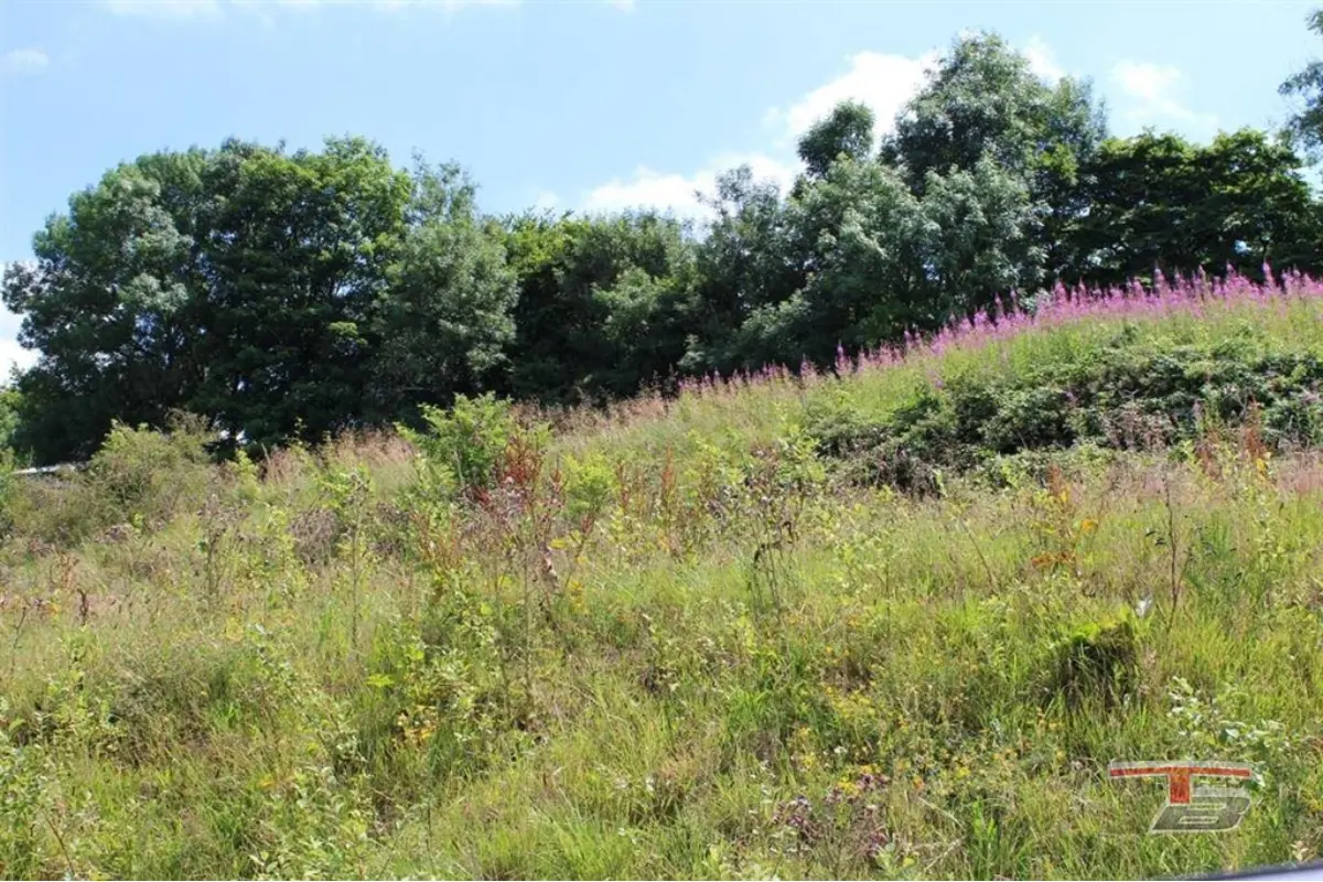 Terrain à bâtir à vendre à Francorchamps 4970 83000.00€  chambres m² - annonce 386714