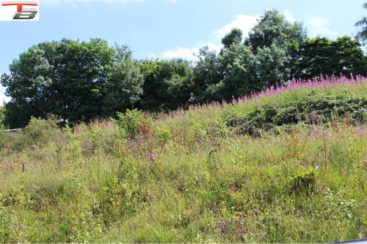 Terrain à vendre à Francorchamps 4970 83000.00€  chambres m² - annonce 386714
