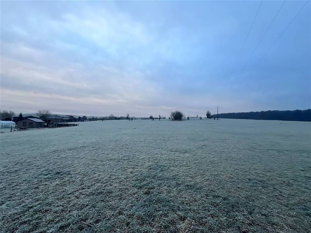 Terrain à bâtir à vendre à Ferrières 4190 85000.00€  chambres m² - annonce 389592