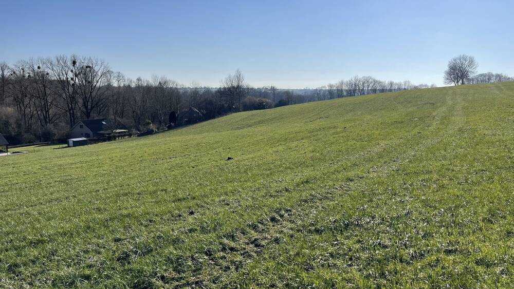 Terrain à vendre à Sprimont 4140 495000.00€ chambres m² - annonce 395671