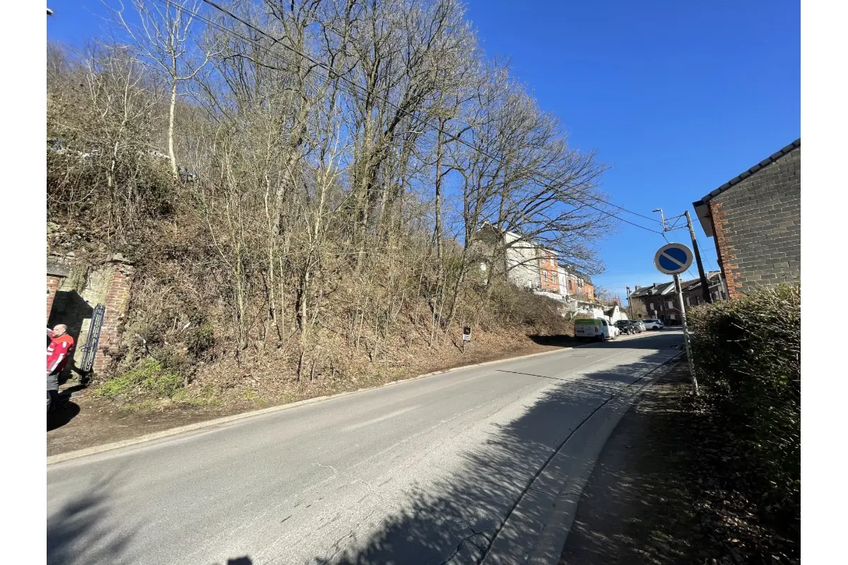 Terrain à vendre à Andrimont 4821 32000.00€  chambres m² - annonce 396137