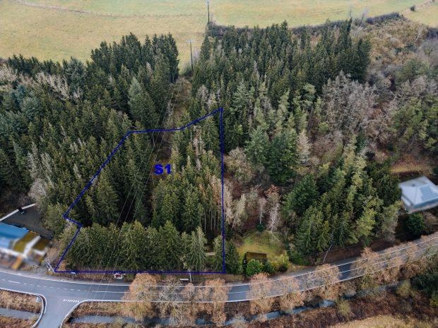 Terrain à vendre à Burg-Reuland 4790 65000.00€ chambres m² - annonce 397826