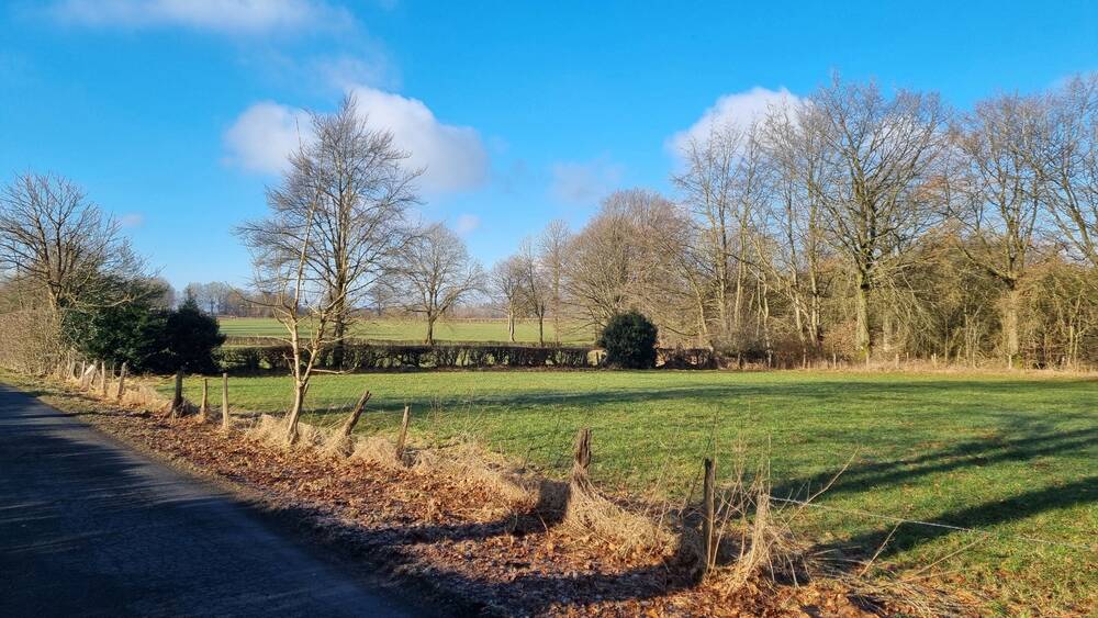 Terrain à vendre à Waimes 4950 135000.00€ chambres m² - annonce 412760