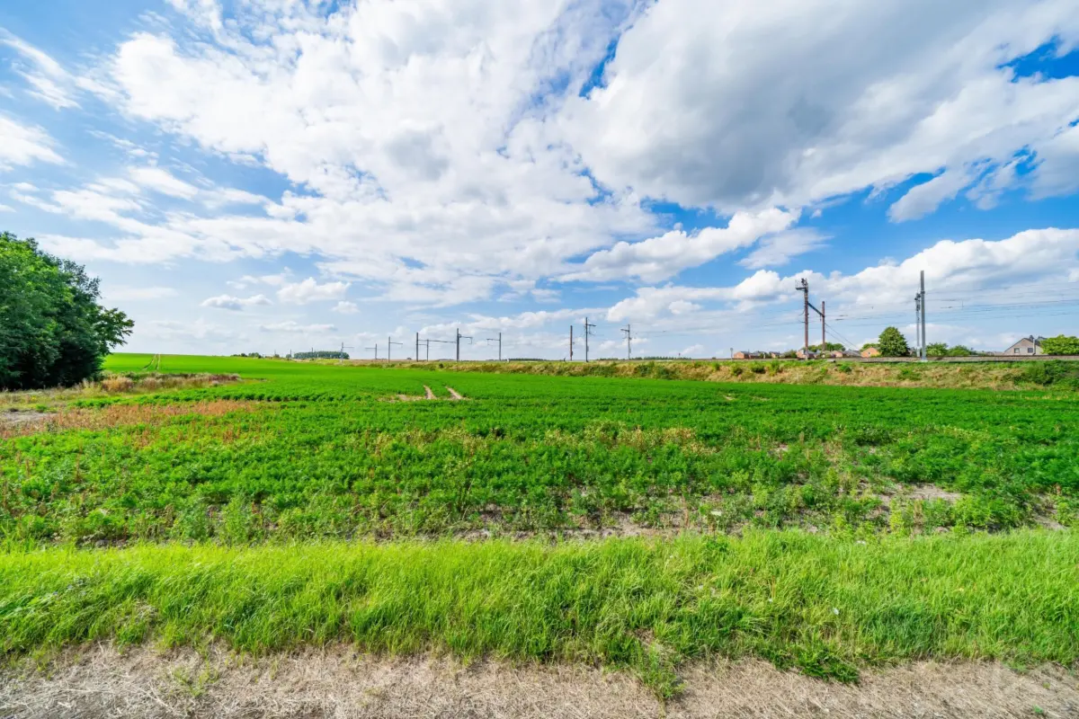 Terrain à vendre à Waremme 4300 120000.00€  chambres m² - annonce 458266