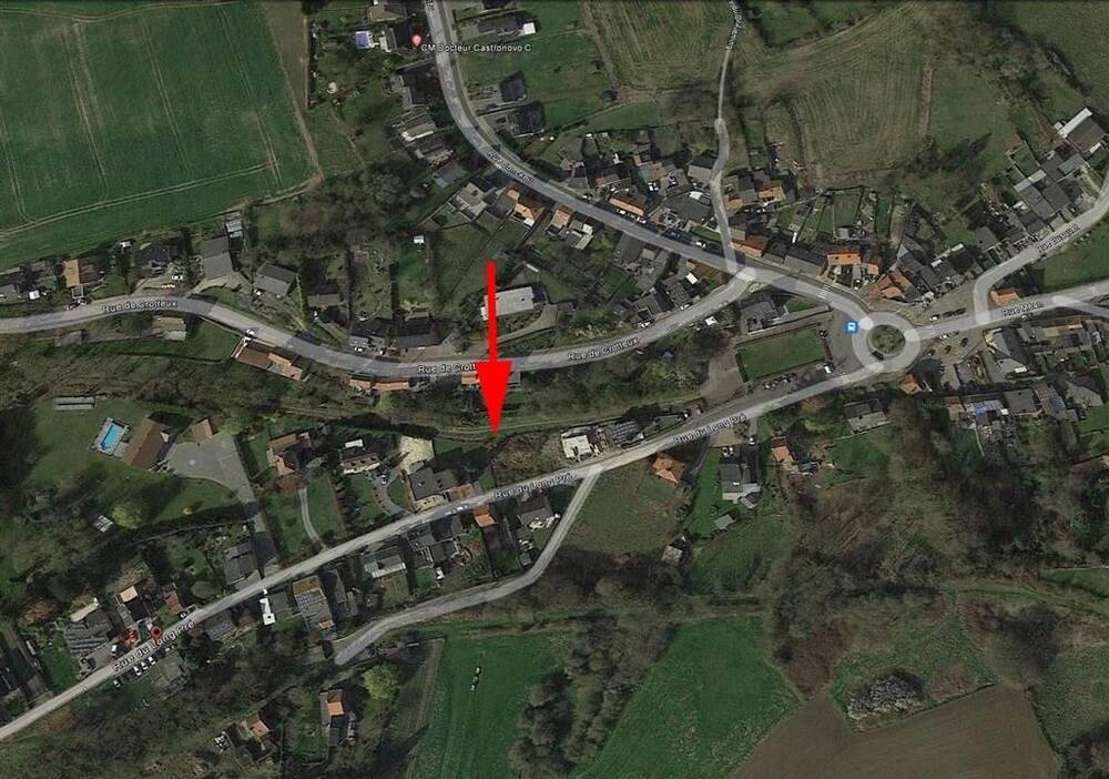 Terrain à vendre à Grâce-Hollogne 4460 50000.00€  chambres m² - annonce 419055
