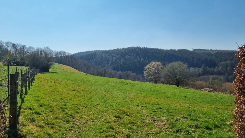 Terrain à vendre à Malmedy 4960 128000.00€ chambres m² - annonce 434566