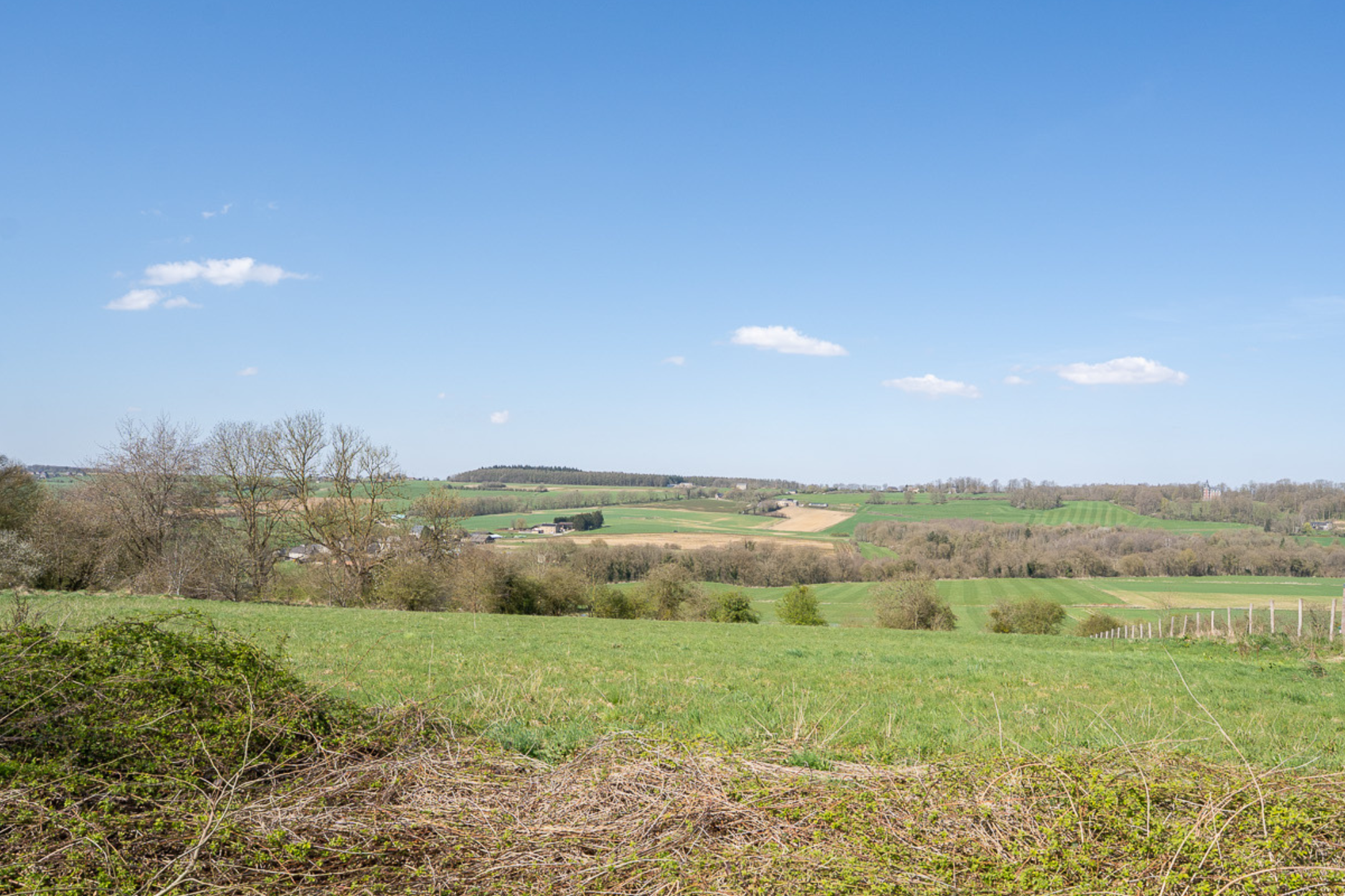 Terrain à vendre à Marchin 4570 260000.00€  chambres m² - annonce 443523