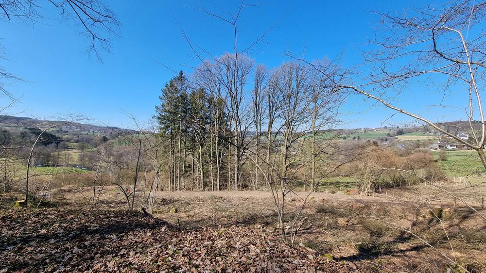Terrain à vendre à Malmedy 4960 80000.00€ chambres m² - annonce 445226