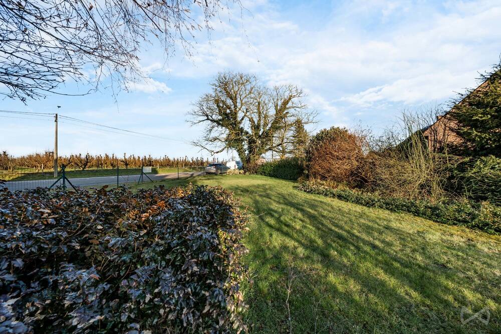 Terrain à vendre à Hannut 4280 60000.00€ chambres m² - annonce 446766