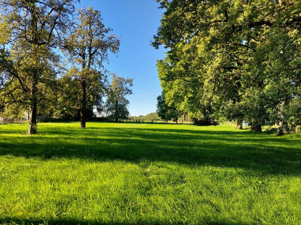 Terrain à vendre à Saint-Remy 4672 225000.00€ chambres m² - annonce 451339