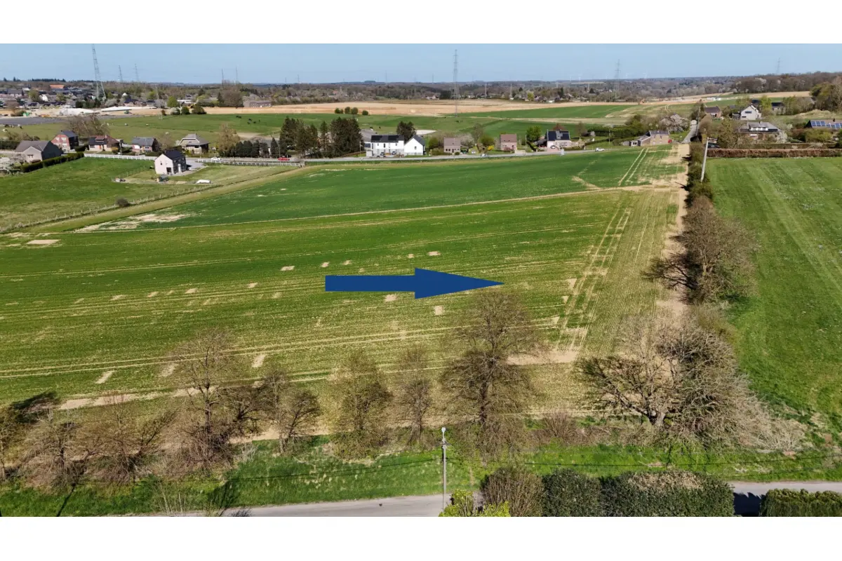 Terrain à vendre à Modave 4577 139500.00€  chambres m² - annonce 461151