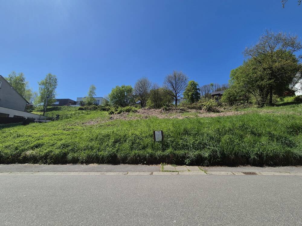 Terrain à vendre à Trois-Ponts 4980 95000.00€ chambres m² - annonce 462835